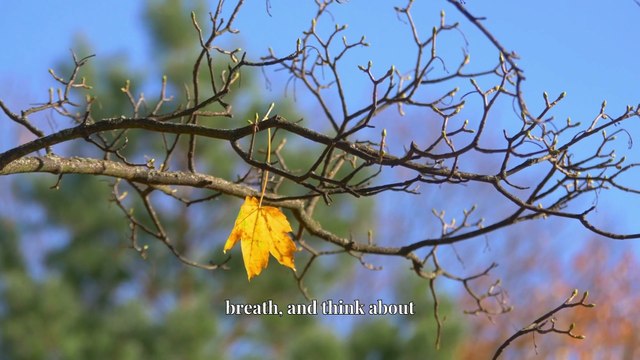 Jackson Browne’s Son Ethan Browne Dies at 52: What Happened & What We Know