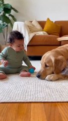 The baby is playing happily and joyfully with the dog! 🐶❤️ Moments full of joy and fun! #dog #baby #ai #fun