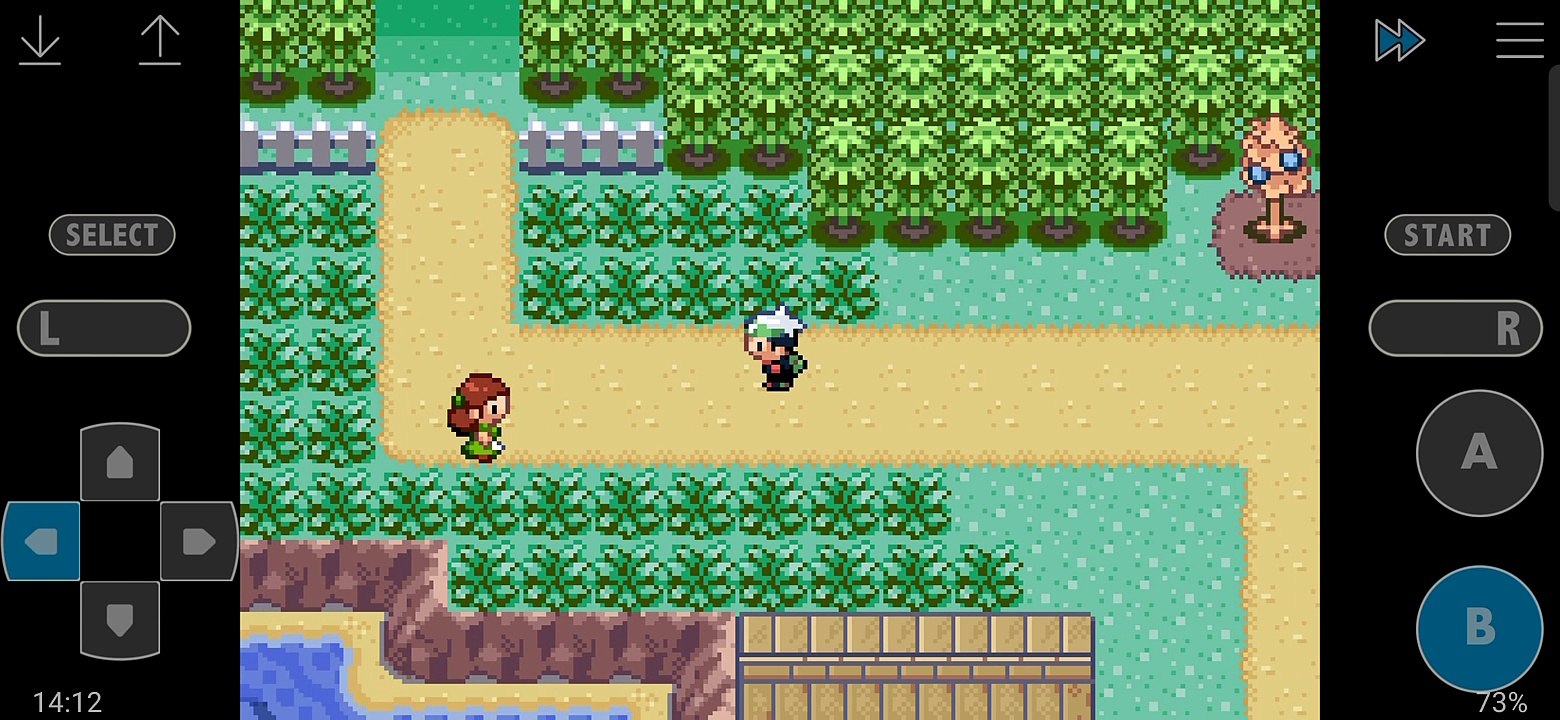 Pokemon emerald 4