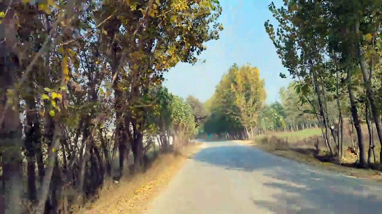 Noorulhaq