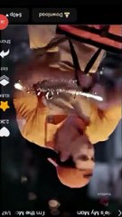 I'm the Mafia Girl Boss and He's My Man Full Movie