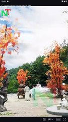 Defying Fate With My Heart Full Episode