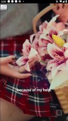 Never Reject A Wolf Princess Short Drama