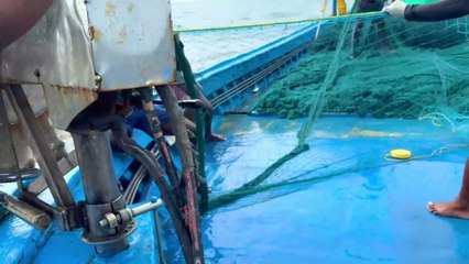 Gulf Blue Thunder — The Ultimate Deep-Sea Battle Begins