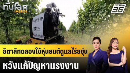 อิตาลีทดลองใช้หุ่นยนต์ดูแลไร่องุ่นหวังแก้ปัญหาแรงงาน | ทันโลก EXPRESS | 30 พ.ย. 68