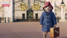 Olivia Colman, Antonio Banderas, Rachel Zegler and More Join 'Paddington 3' Cast | THR News