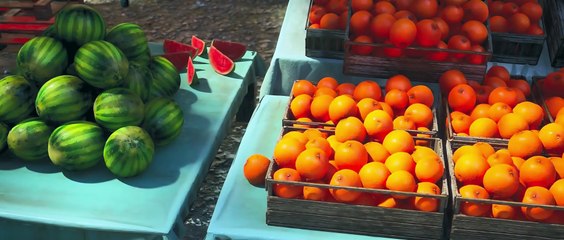 Immortal doctor in modern city episode 127 subtitles multi