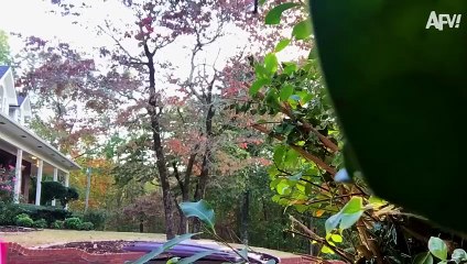 Best Pranks of 2025 🤣 Funniest Pranks and Scares of the Year