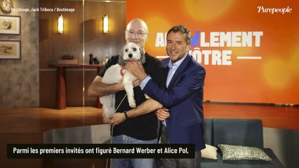 Une figure de la télévision qui a refusé une sacrée offre de sa chaîne face à Bernard Montiel pour Animalement vôtre