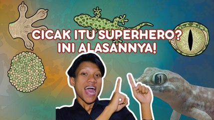 Ini Fakta Unik Tentang Cicak-Serius Ini Hewan?