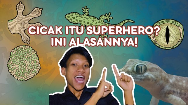 Ini Fakta Unik Tentang Cicak-Serius Ini Hewan?