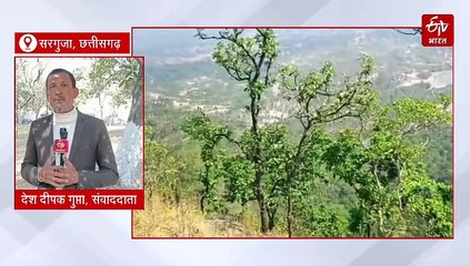 हसदेव अरण्य में केते कोल कोल एक्सटेंशन को मिली पर्यावरण स्वीकृति, उठे सियासी सवाल