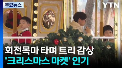 회전목마 타며 트리 감상...'크리스마스 마켓' 인기 / YTN