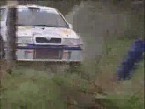 errani rally Salto skoda octavia wrc