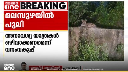 സ്കൂൾ മതിലിലെ പുലി, പാലക്കാട് മലമ്പുഴയിലെ പ്രദേശത്ത് ജാഗ്രതാ നിർദേശം