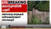 സ്കൂൾ മതിലിലെ പുലി, പാലക്കാട് മലമ്പുഴയിലെ പ്രദേശത്ത് ജാഗ്രതാ നിർദേശം