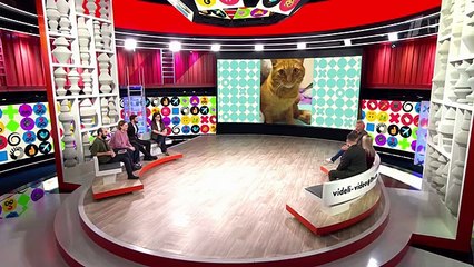 Видели видео? Выпуск от 30.11.2025