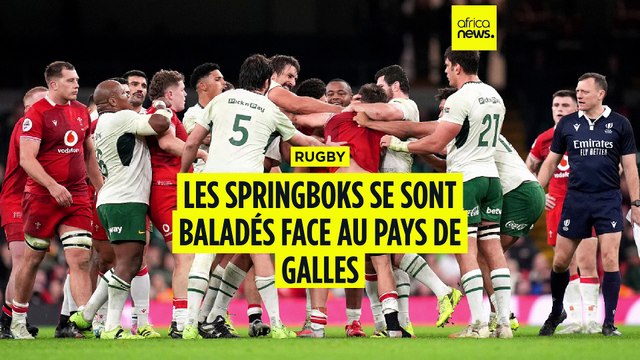 Rugby : l'Afrique du sud inflige une raclée au Pays de Galles