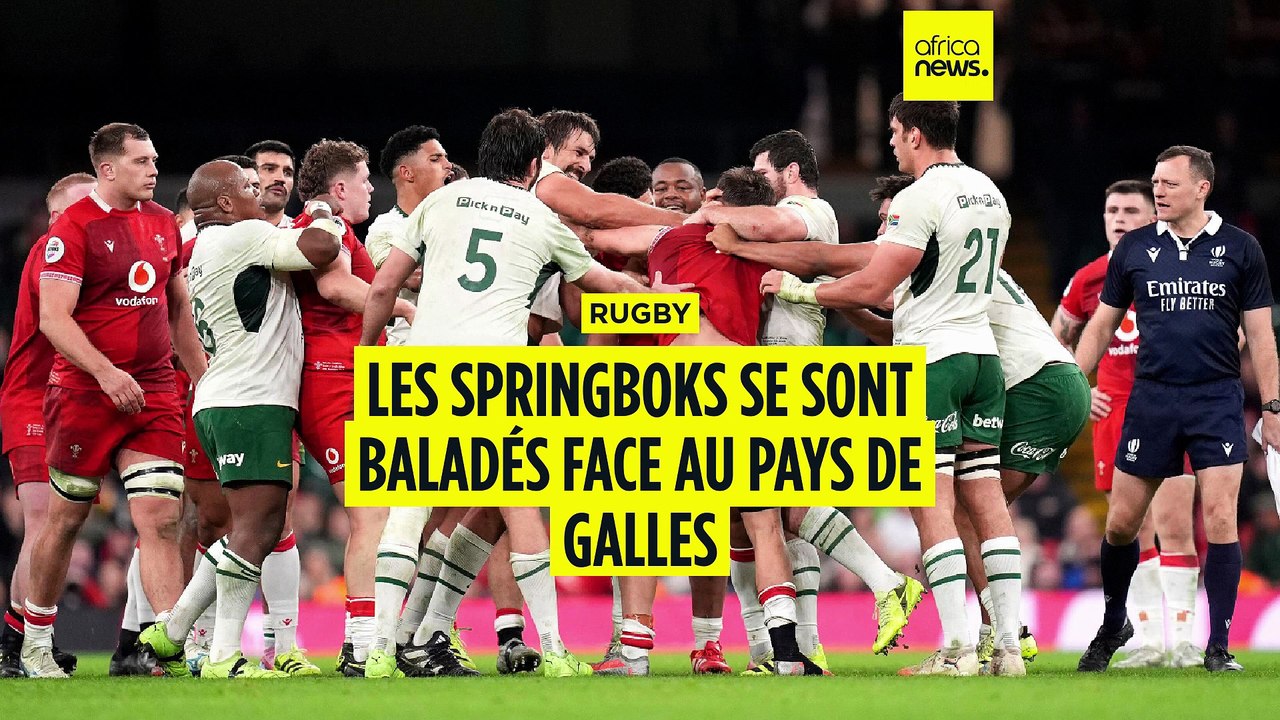 Rugby : l'Afrique du sud inflige une raclée au Pays de Galles