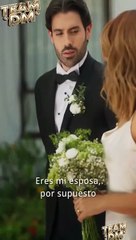 La doble vida de mi esposo multimillonario en español ReelShort - loambition