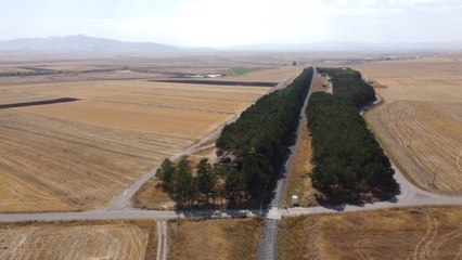 Görenleri hayrete düşüren tren istasyonu: Bozkırın ortasındaki vaha!