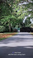 【FULL】Pretend Lovers for the Cameras—But Behind Closed Doors, He’s Dying to Be Hers for Real