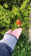 🔥 Amazing People Skills 💯Respect😯 DRYFO