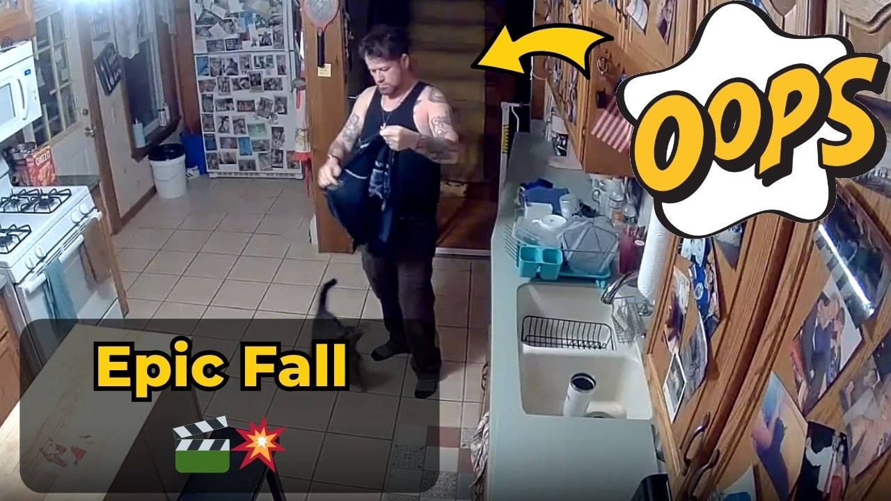 Man feels the pain of affection when cat jumps...