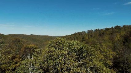 Biga'da ormanlar sonbaharın renklerine büründü