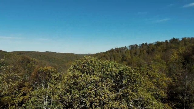 Biga'da ormanlar sonbaharın renklerine büründü