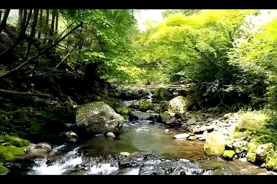 seerat e nabwi episode no 2