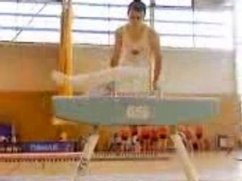 Cheval d'arçons 1er degré AG