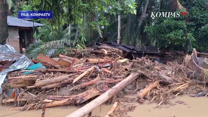 Penampakan Kayu Gelondongan Berceceran-Menumpuk di Sungai Pasca Banjir di Sumatra