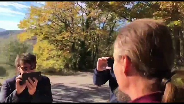 Image from field_mediaid