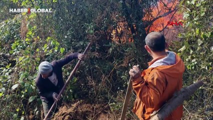 Artvin’de örtü yangını ormana yayıldı