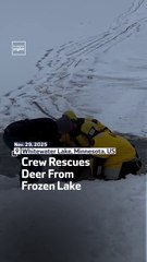 Crew Rescues Deer From Frozen Lake