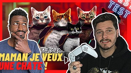 STRAY : LE JEU INDIE QUI VA VOUS FAIRE RONRONNER !