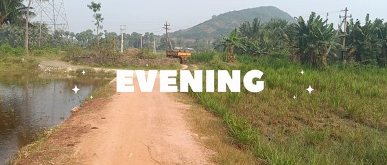 FARM FIELD SOUTH PART OF INDIA