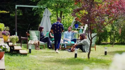 Persiguiendo Sueños Que No Se Harán Realidad - Pájaro Soñador