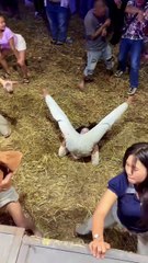 Ultimate Dance Fail! 🤣 When the Floor Says "Nap Time" instead of "Party Time" | Funny Festival Vibe