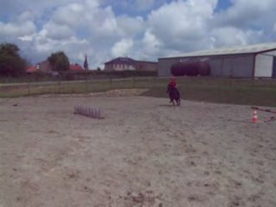 Antoine saut obi one