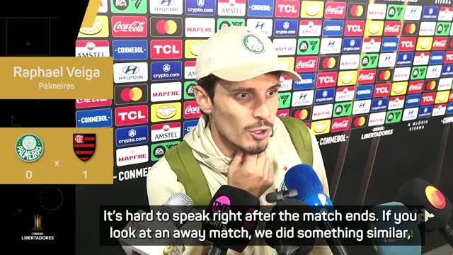 Palmeiras 'will learn' from Copa Libertadores defeat - Veiga