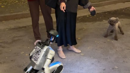 Hilarious encounter unfolds as a dog confronts a robot in a busy Moscow neighborhood