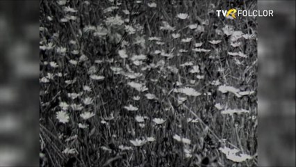 Ion Luican - M-a facut mama oltean (arhiva TVR)