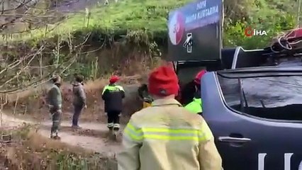 Türkiye'nin akciğerleri kömüre döndü: 5 hektarlık ormanlık alan yandı!