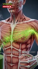 "Green Tea Inside the Body — 3D Anatomy Breakdown | Benefits & Side Effects"