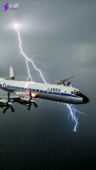 Avião cai na floresta amazônica e mulher sobrevive por dias - Voo 508 Lansa