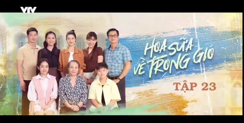 Hoa Sữa Về Trong Gió - tập 23 - HP Media