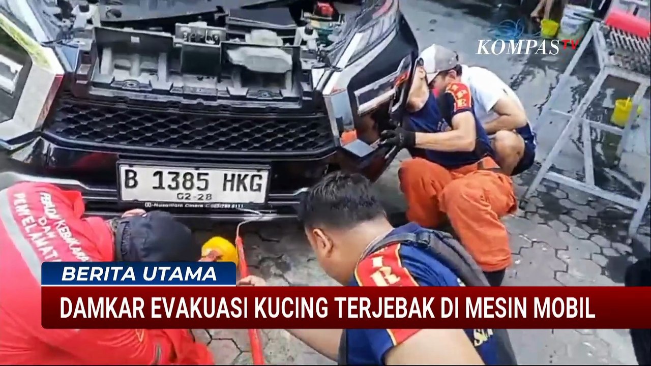 Damkar Surabaya Evakuasi Kucing Terjebak di Mesin Mobil | BERITA UTAMA