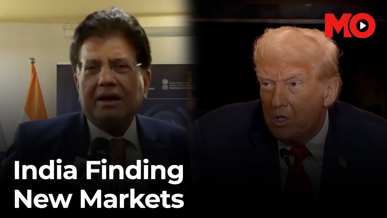 India finds alternative export markets as tariff impact unfolds
